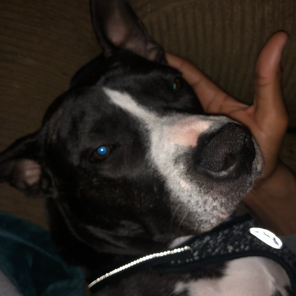 Meet your Posher, Mike